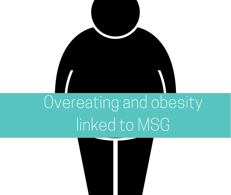 Overeating and obesity linked to MSG