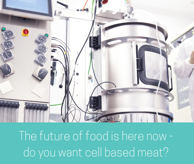 The future of food is here now - do you want cell based meat?
